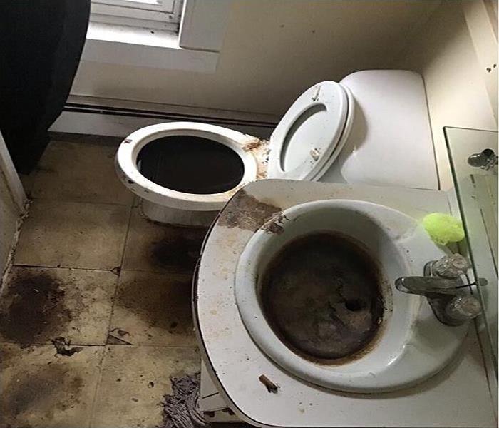 Sewage backup in the bathroom